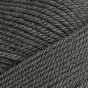 Stylecraft Special DK - 1063 Graphite | Het Wolhuis