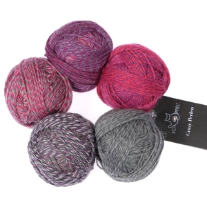 Schoppel Wolle Crazy Perlen - 2588 Daxophone | Het Wolhuis