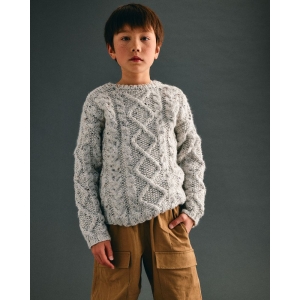 Phildar - Trui Cedric - 246-07
