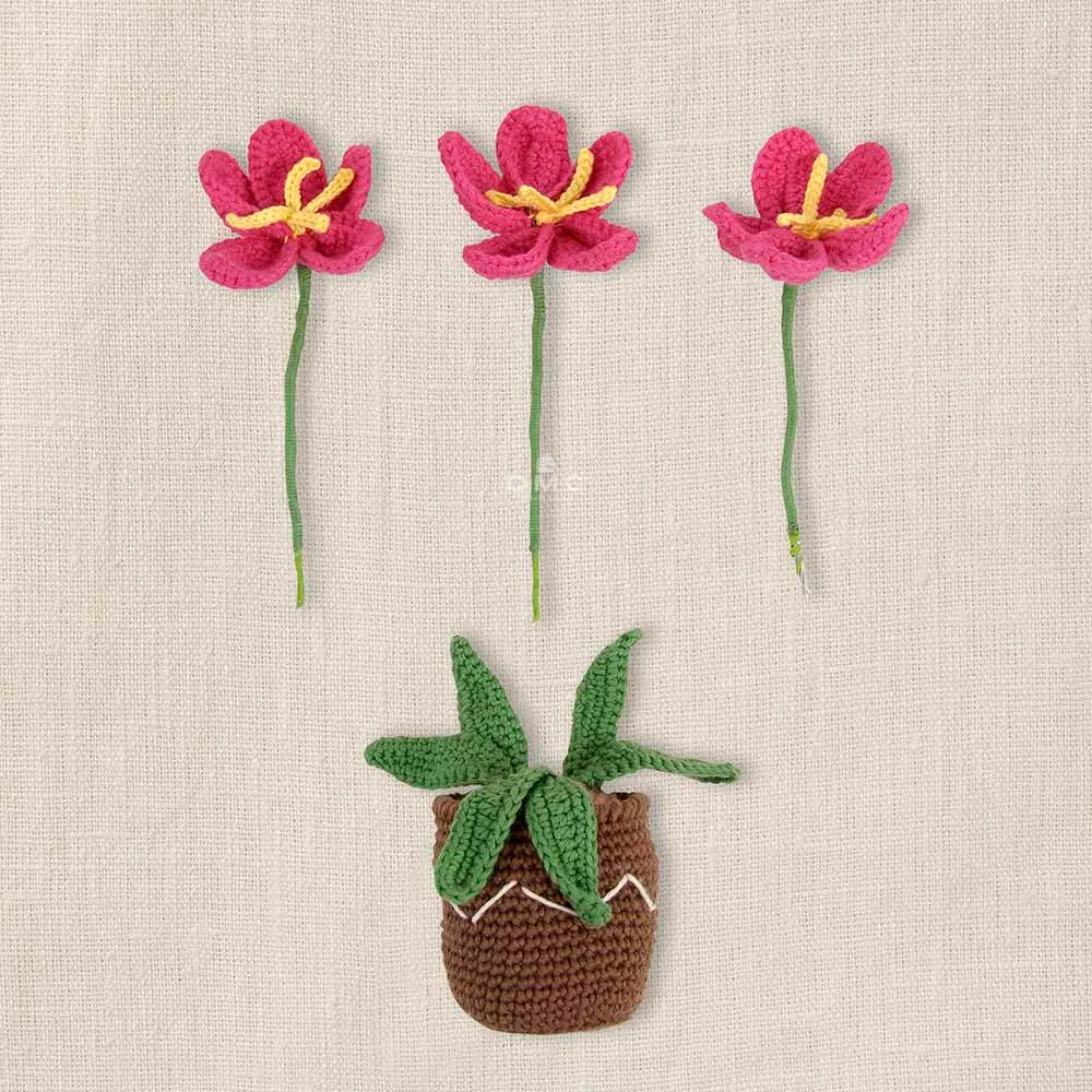 DMC Amigurumikit bloemen haken - Bloempot | Het Wolhuis DMC Amigurumikit bloemen haken - Bloempot | Het Wolhuis