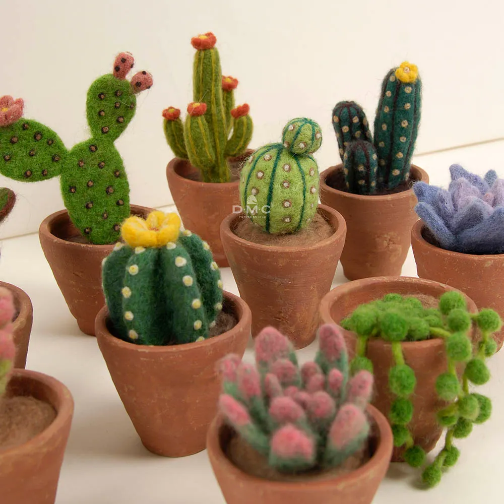 DMC Vilt boek | Het Wolhuis DMC Vilt boek-Cacti end Succelents | Het Wolhuis