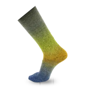 Katia Symmetric Socks & More Chromatic-200 | Het Wolhuis